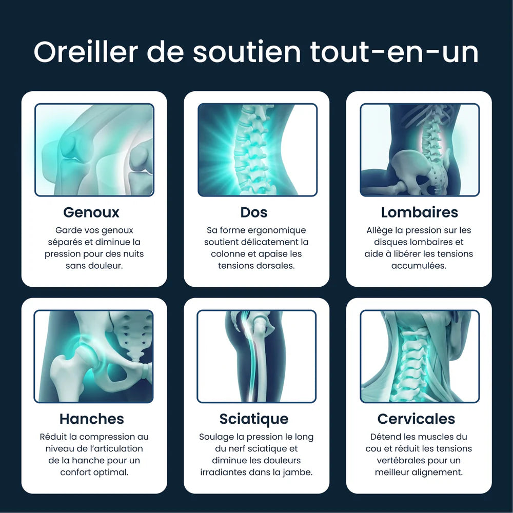 Coussin lombaire ergonomique
