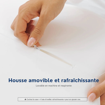 Oreiller ErgoLux + Cadeau mystère